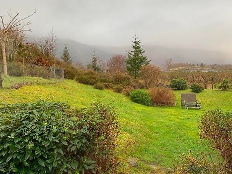 View from living room window